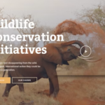 wildlife-conservation-demo